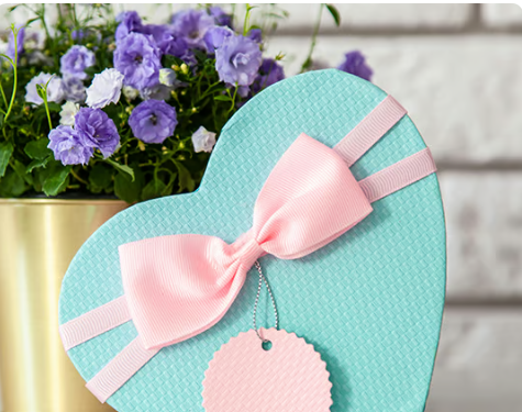 Premium Gifts